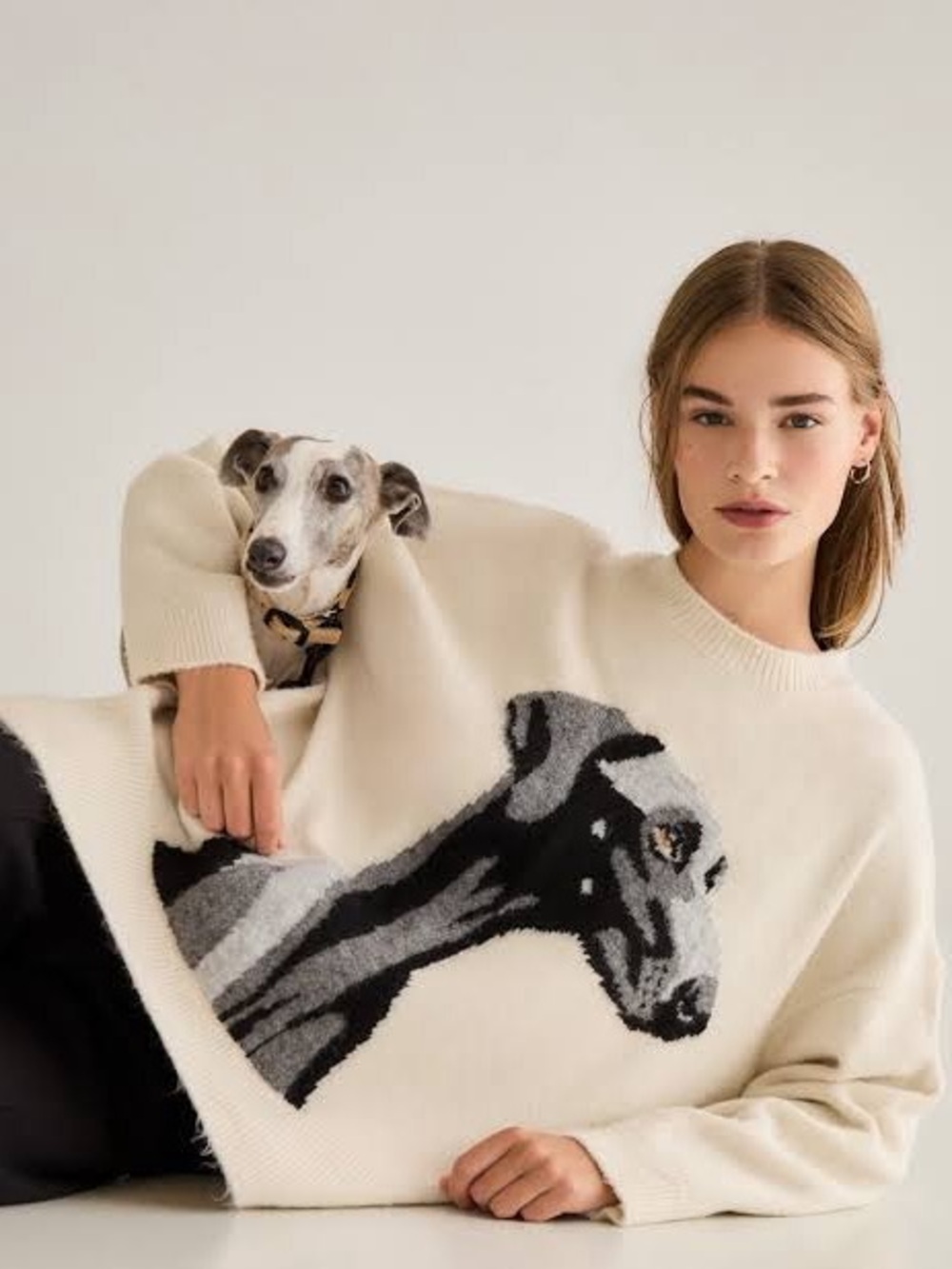 stradivarius Cream Crewneck Sweater with Dog Knit